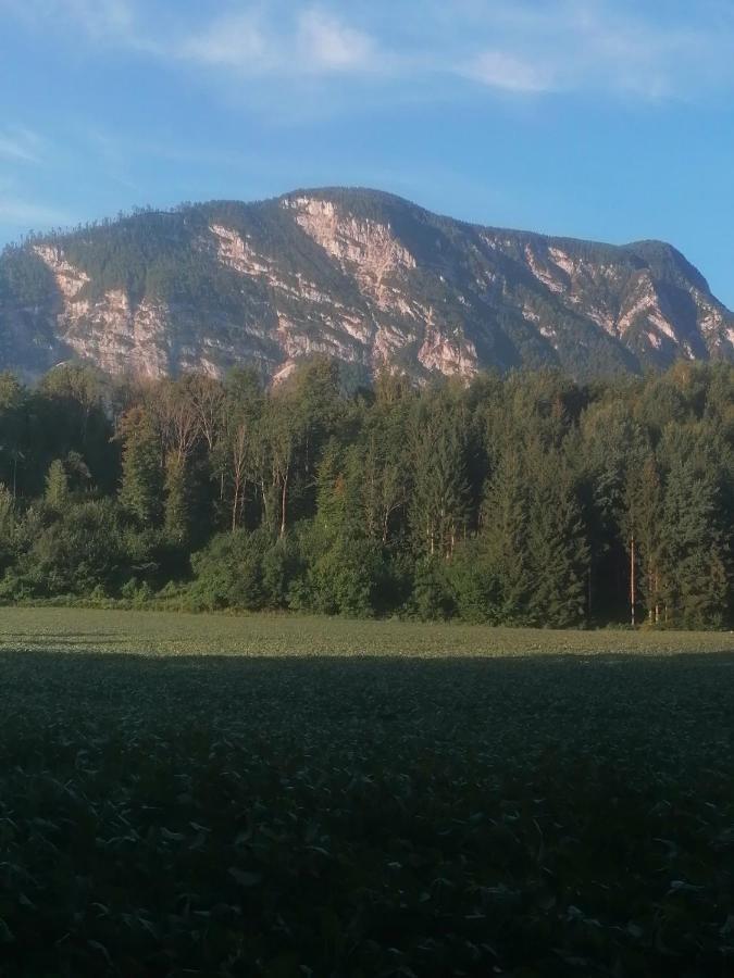 Appartment Resi Wohlfuehlen Und Relaxen Eberndorf Exterior foto